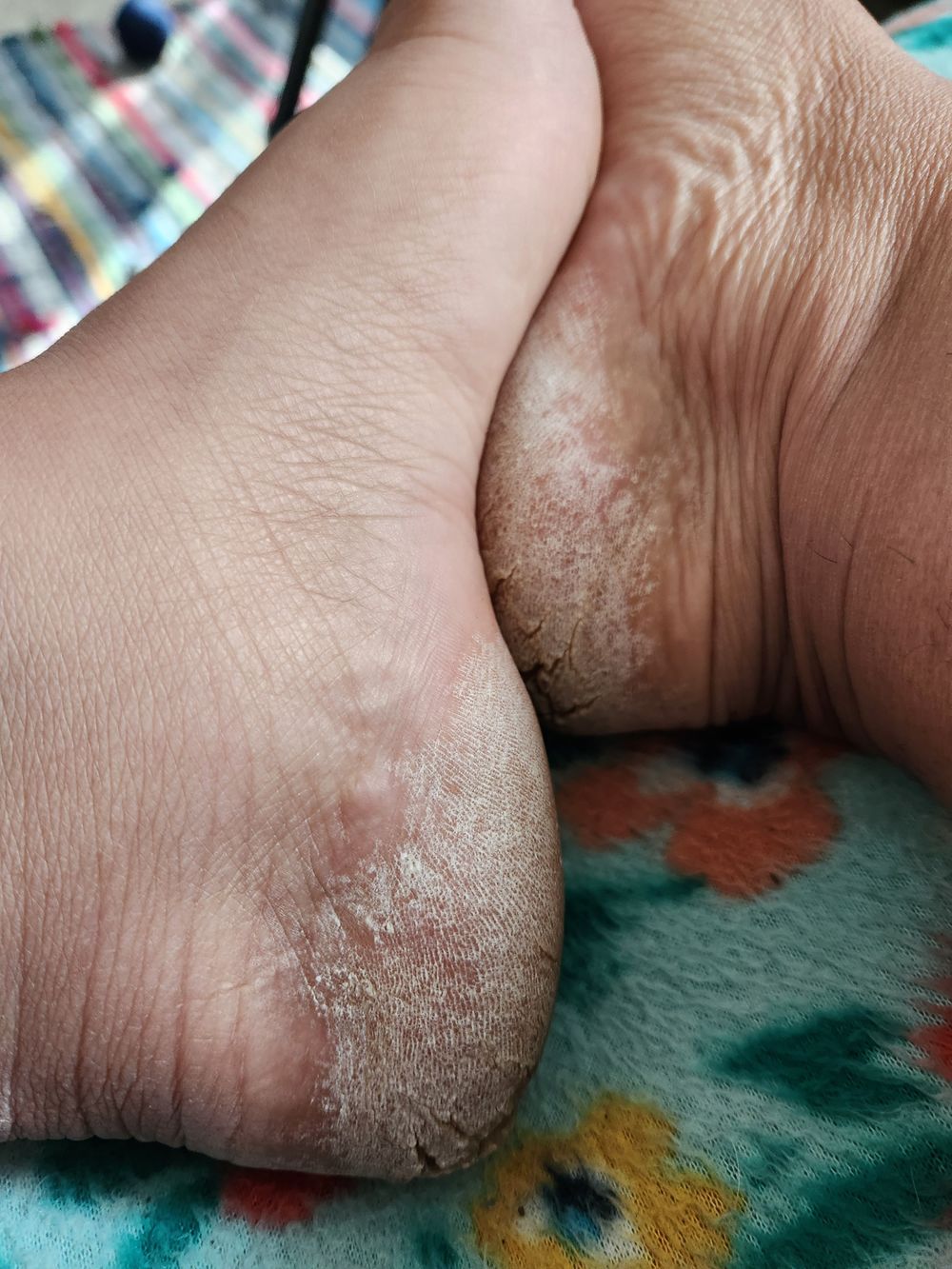 nastifeett OnlyFans profile picture