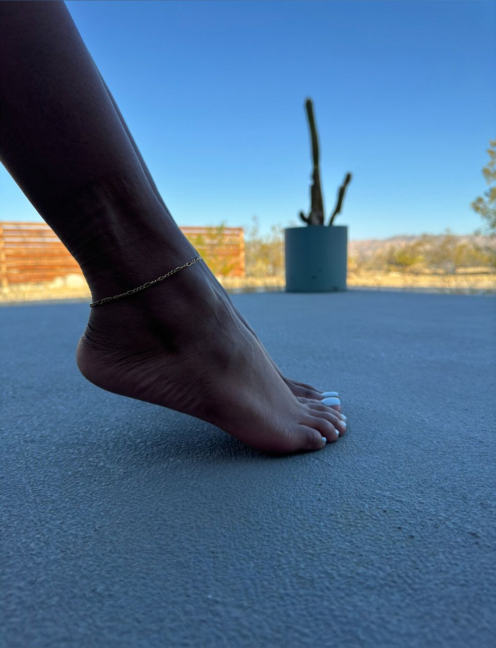 scarfoot888 OnlyFans profile picture
