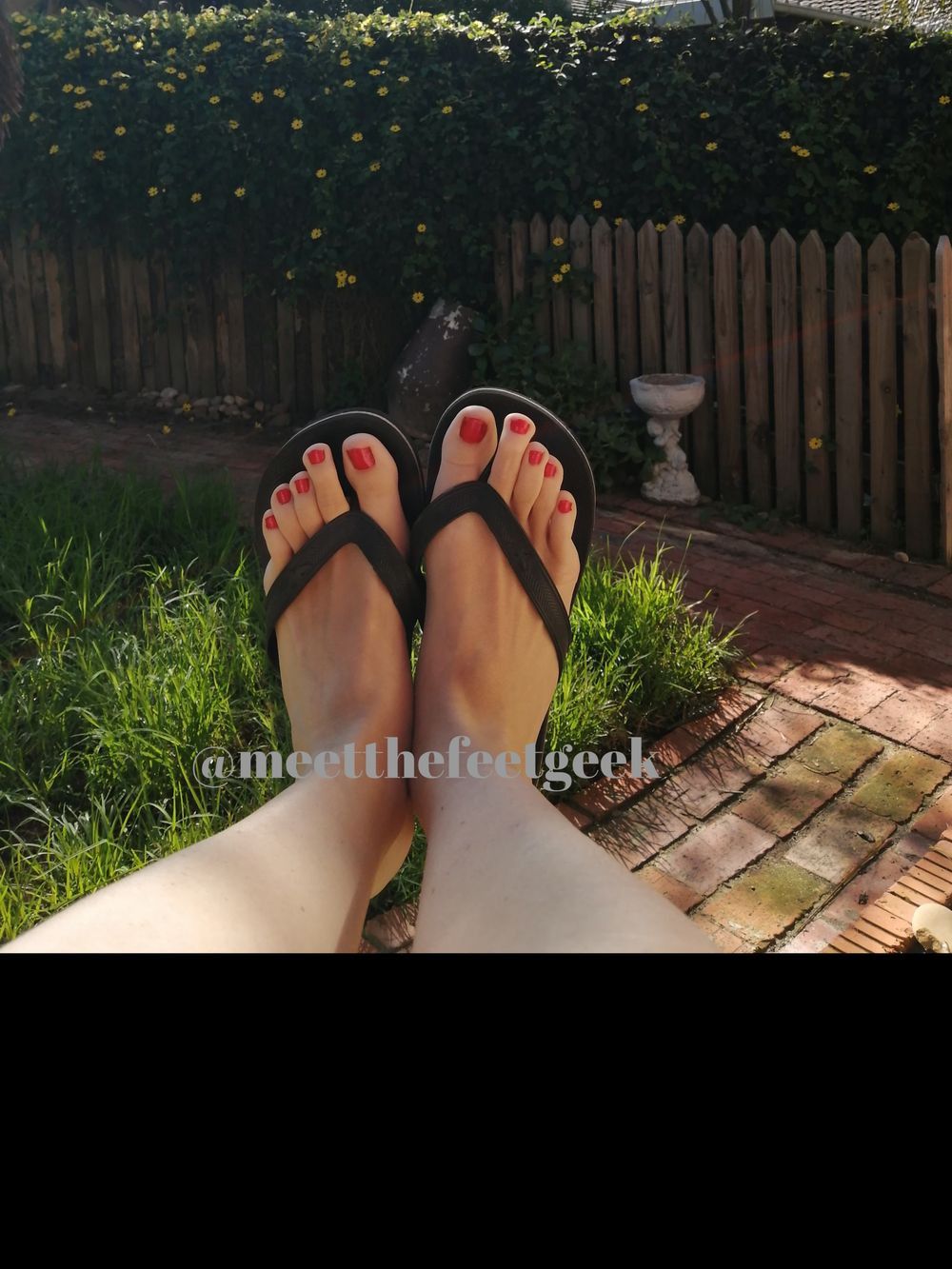 meetthefeetgeek OnlyFans profile picture