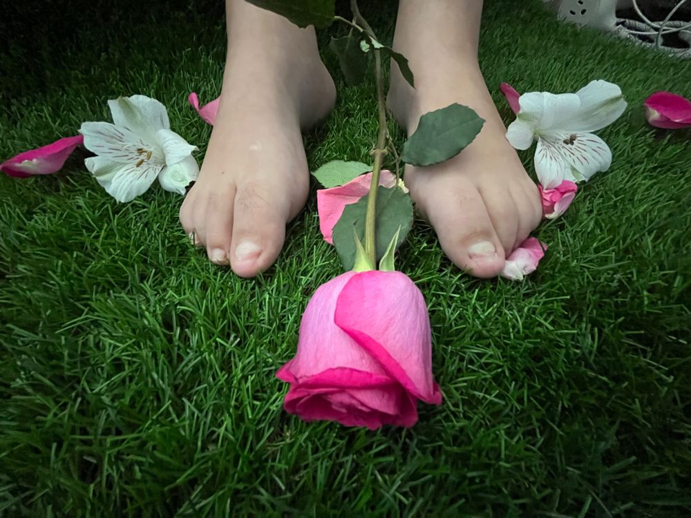 barbie254 OnlyFans profile picture