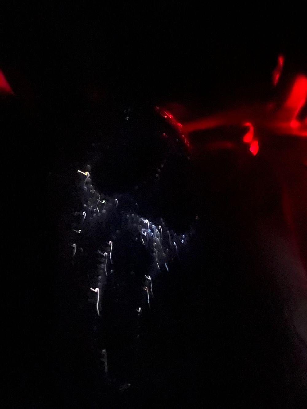 msghostyy OnlyFans profile picture
