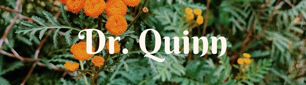 drquinnmedicinethem OnlyFans profile picture