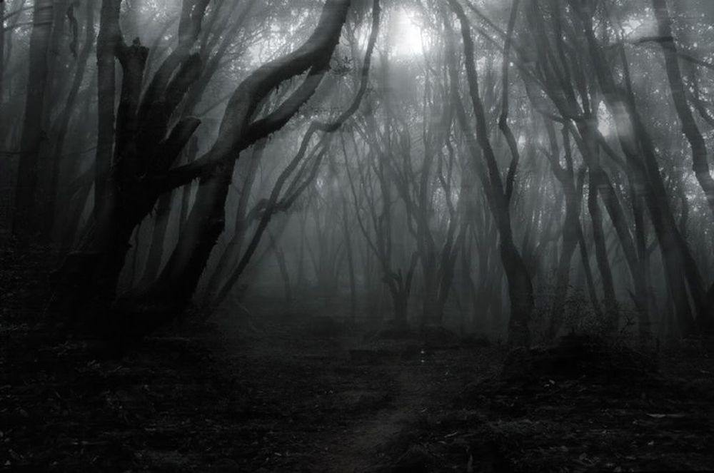 condemnedghouls OnlyFans profile picture