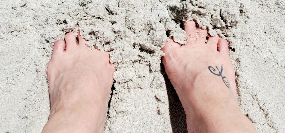 feetcreationsbylynn OnlyFans profile picture