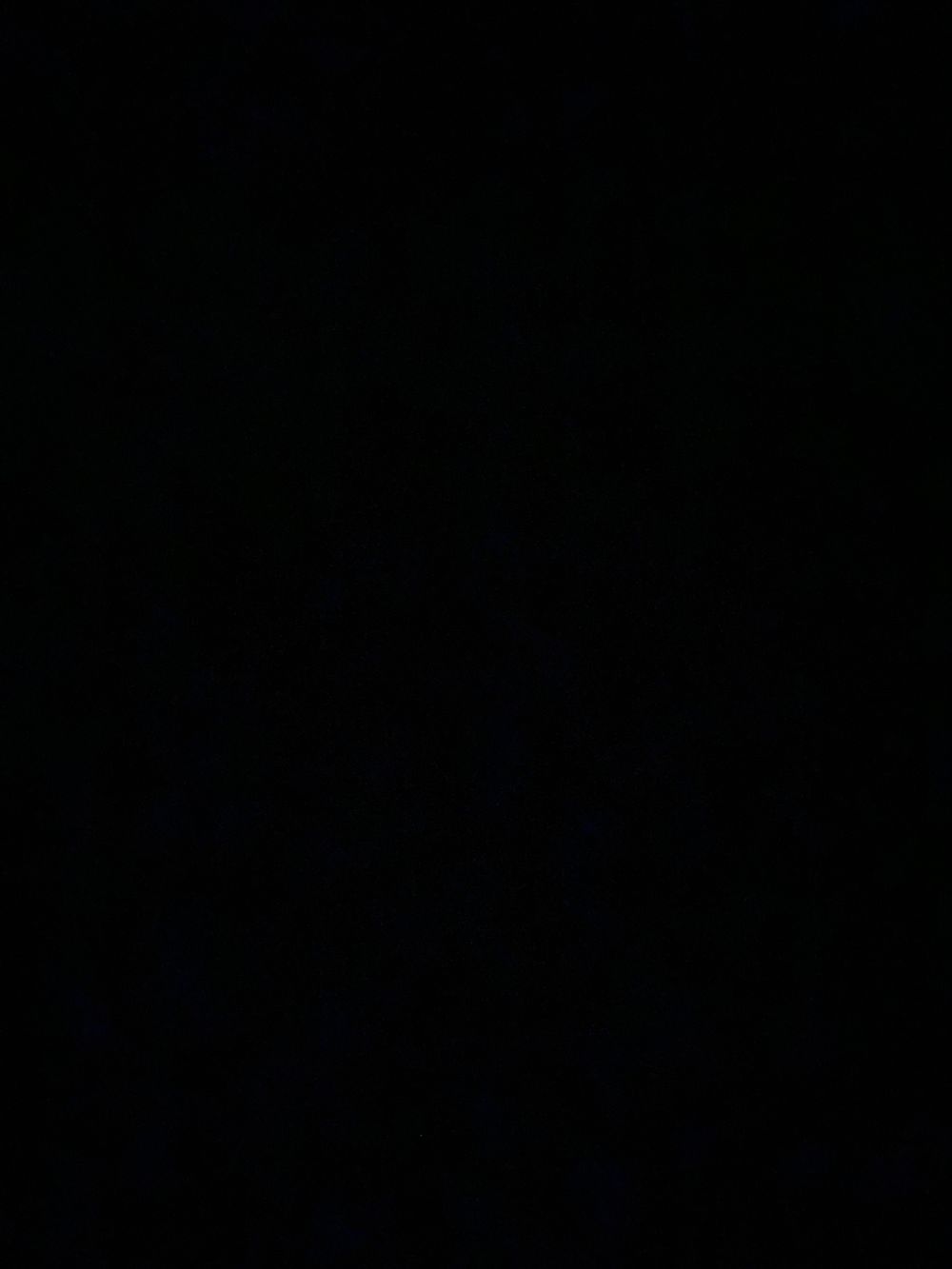 nina_vasic OnlyFans profile picture