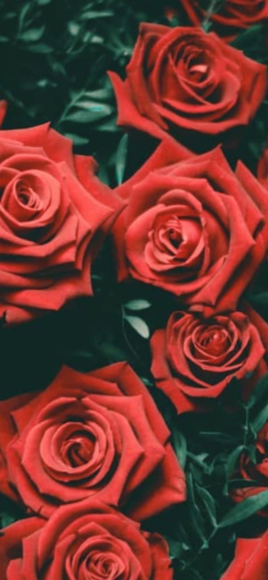 mrsandmsrose OnlyFans profile picture