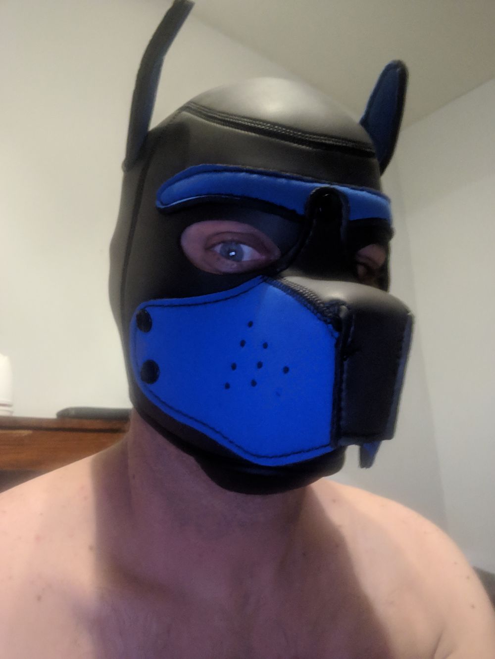 crmonkey OnlyFans profile picture