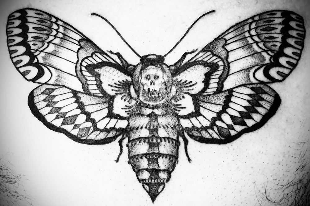 pansexualmoth OnlyFans profile picture