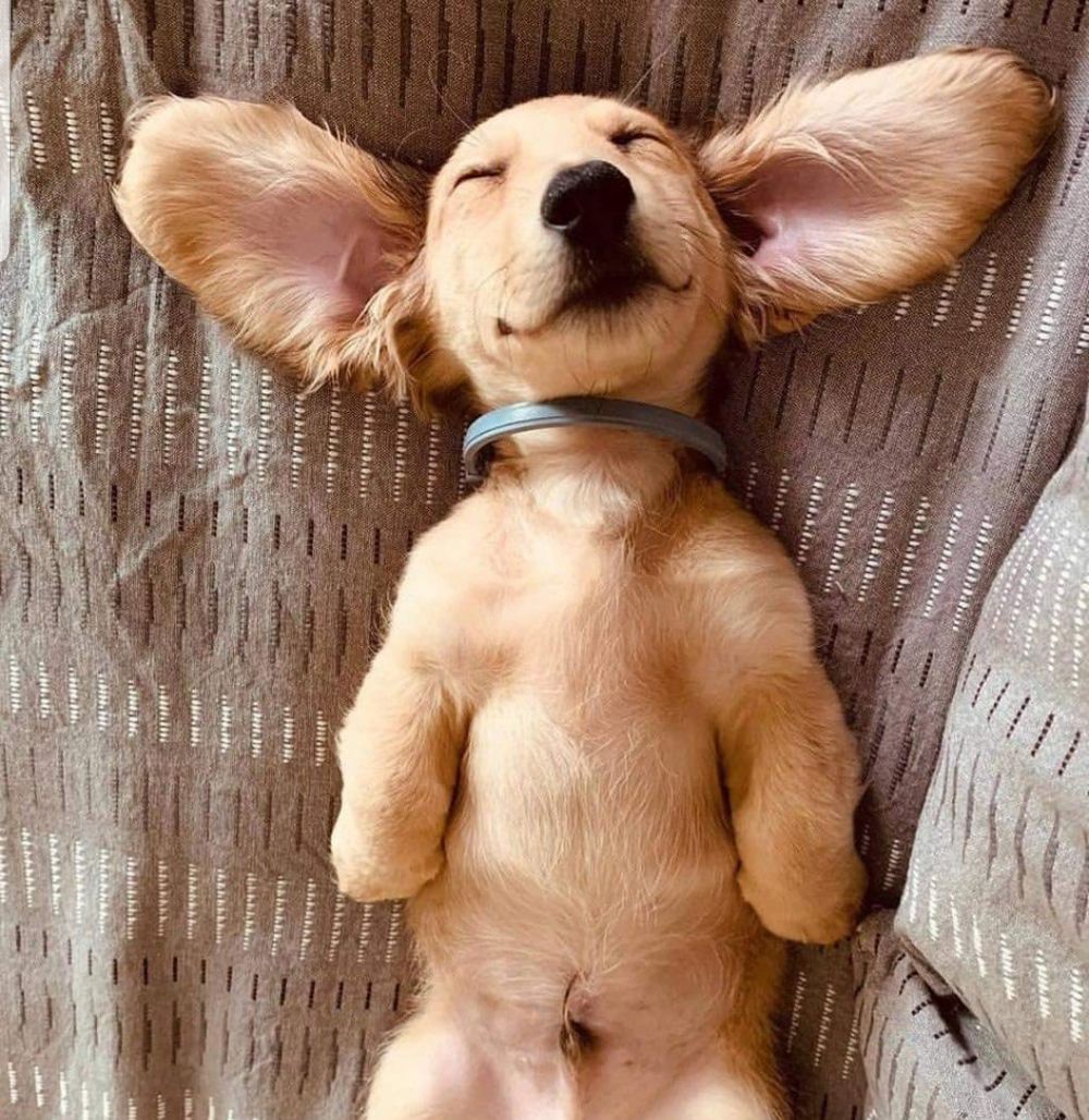baecurl OnlyFans profile picture