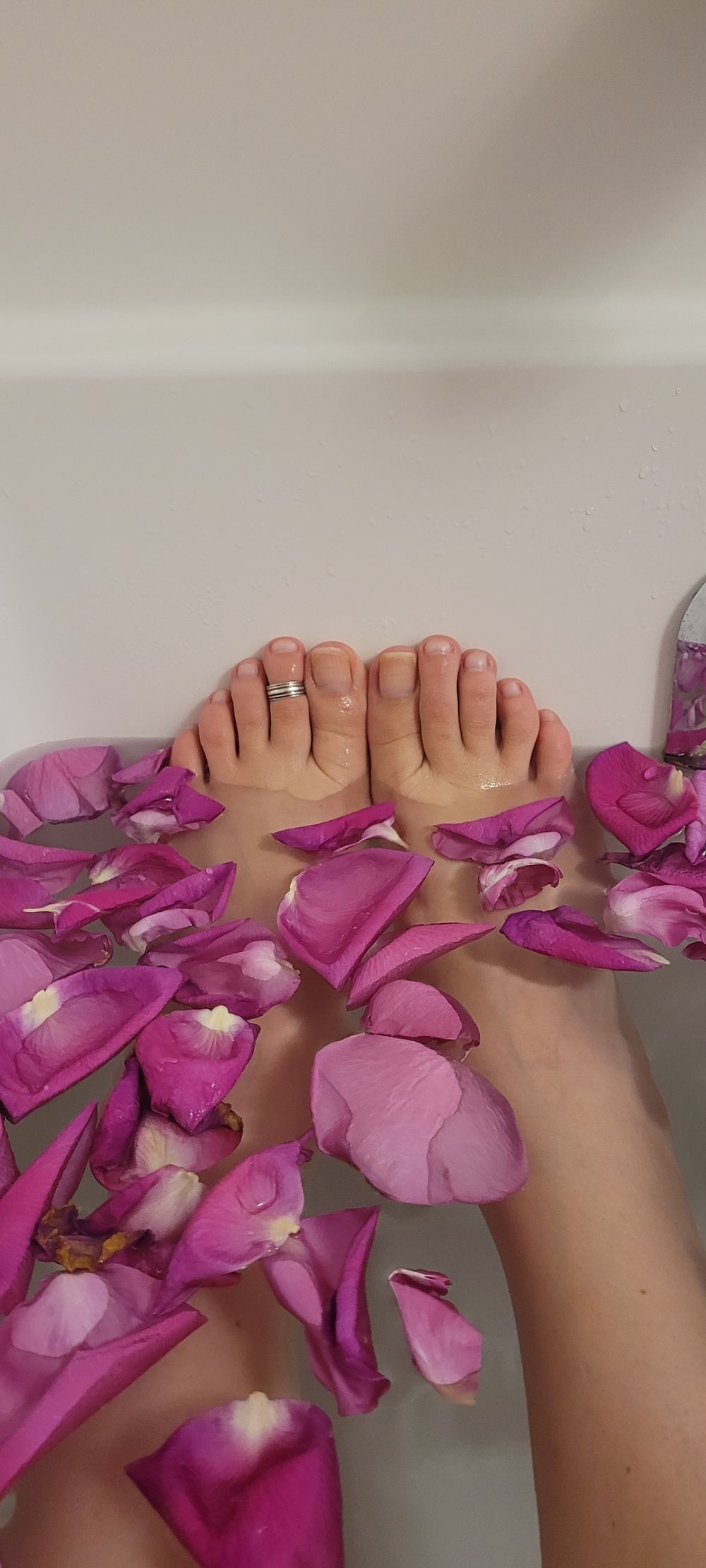 u49819077 OnlyFans profile picture
