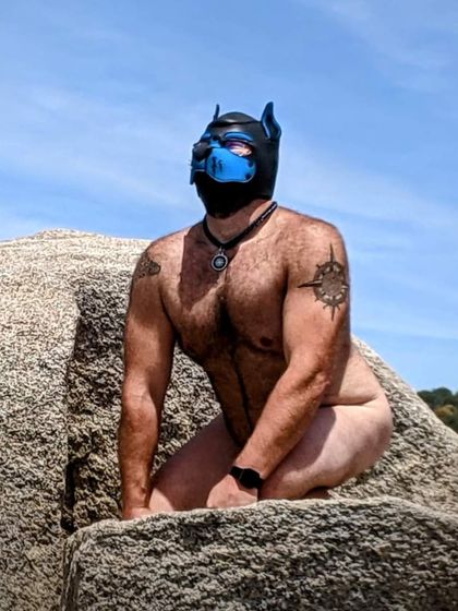 pup_ranger OnlyFans picture