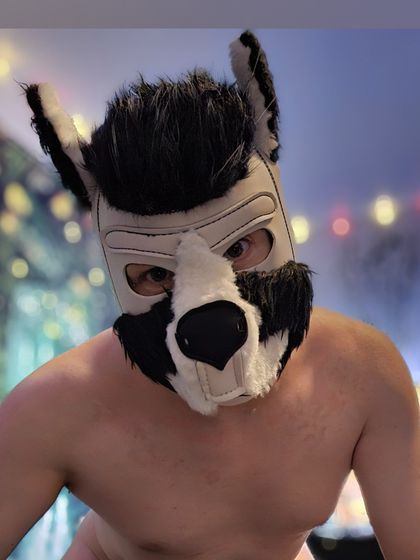 artiespups OnlyFans picture