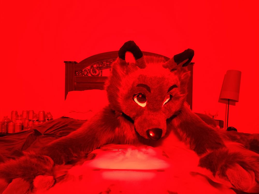 darn_wolf OnlyFans profile picture