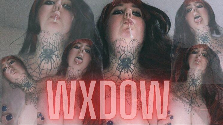 wxdow OnlyFans profile picture