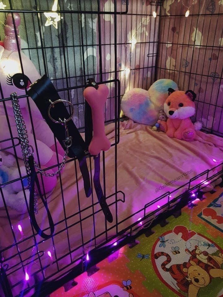 petenvi OnlyFans profile picture