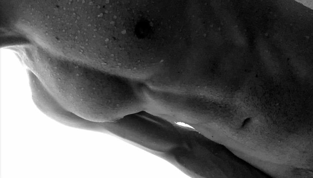 notoriousoffset OnlyFans profile picture