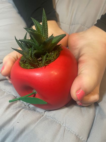 ms_sweet.feet OnlyFans picture