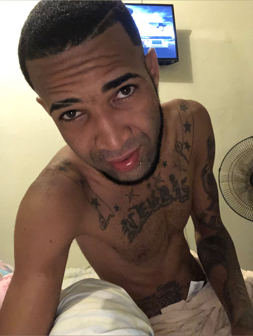 quebaoel OnlyFans profile picture