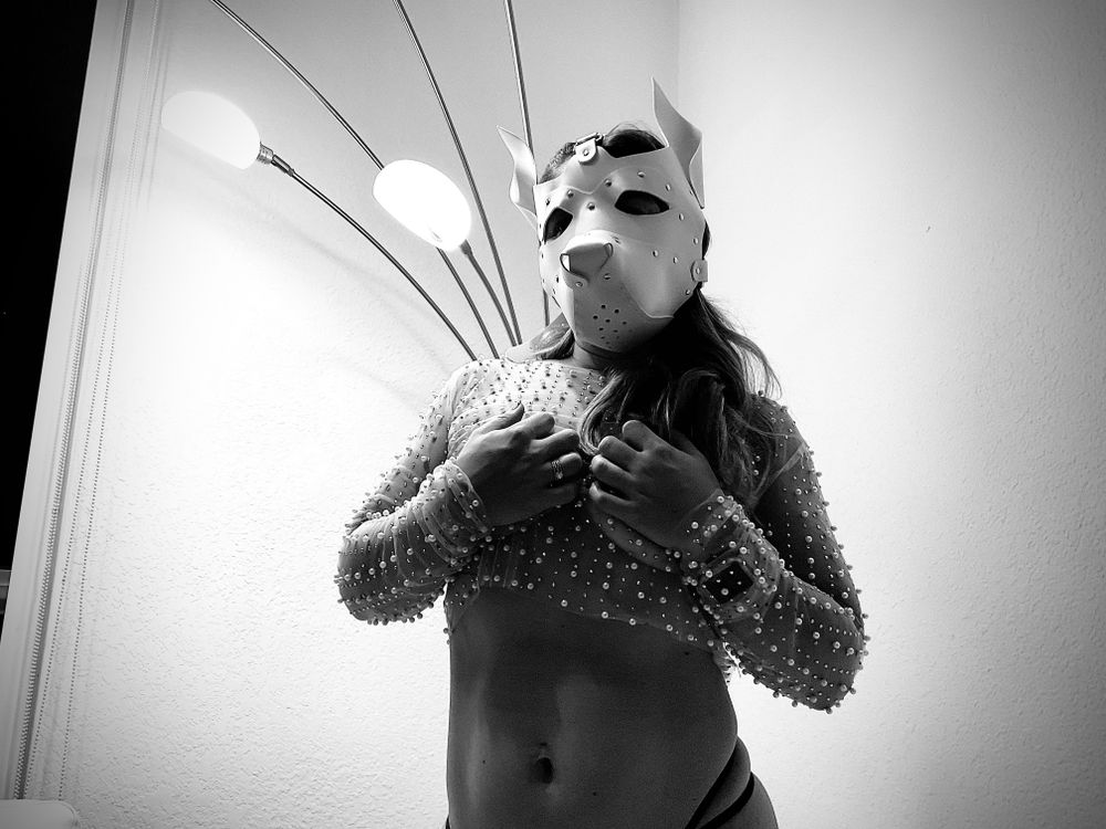 assdesire OnlyFans profile picture
