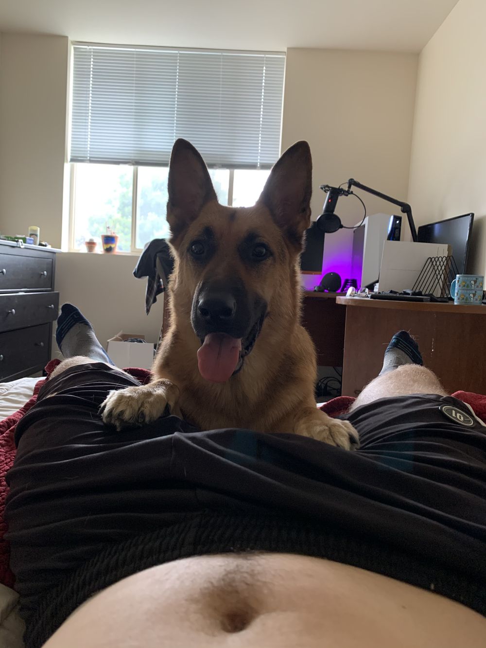 killercroat OnlyFans profile picture