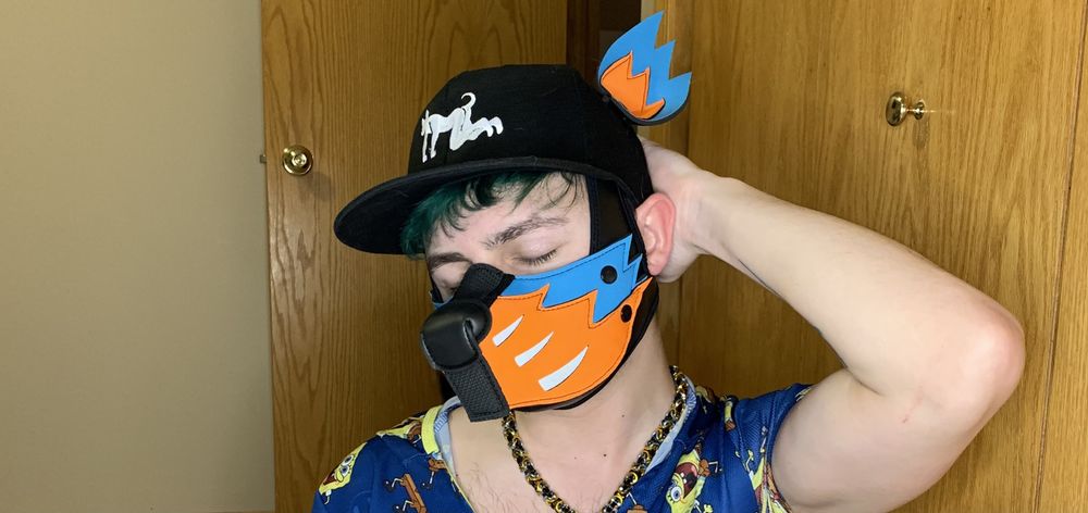 gideonthepup OnlyFans profile picture
