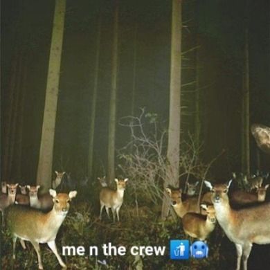 x.trash_deer.x OnlyFans profile picture