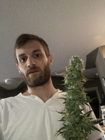 rollinintheweeds OnlyFans picture