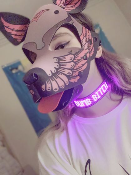 litterboxkitten OnlyFans picture