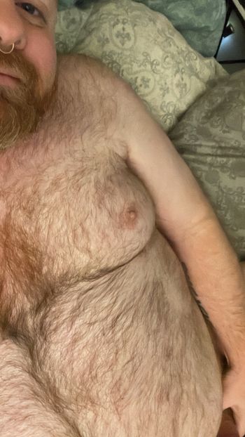 TxBear
