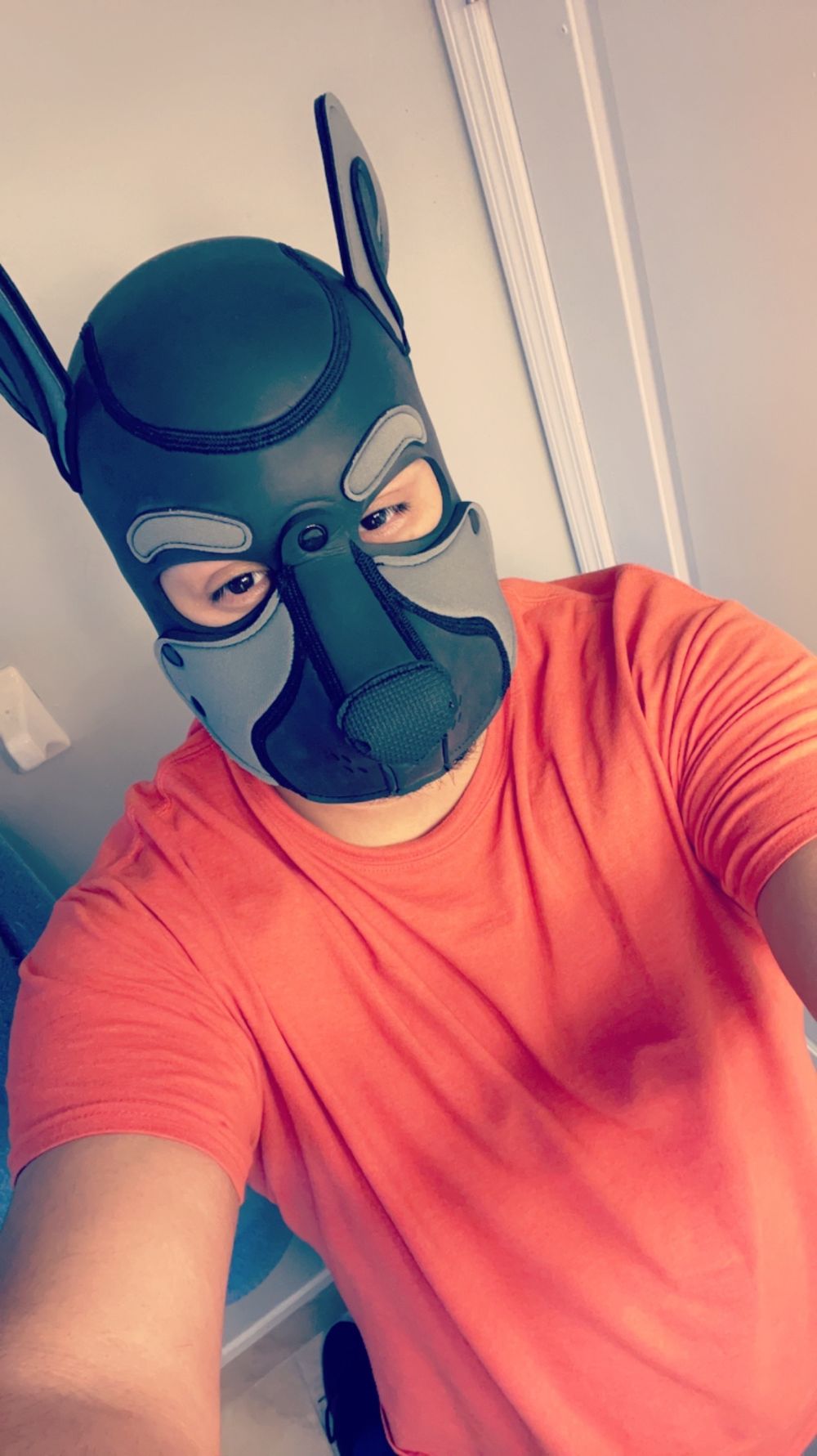 pupkako OnlyFans profile picture