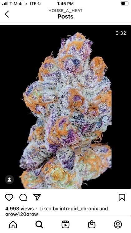 mr.exoticgrow OnlyFans picture