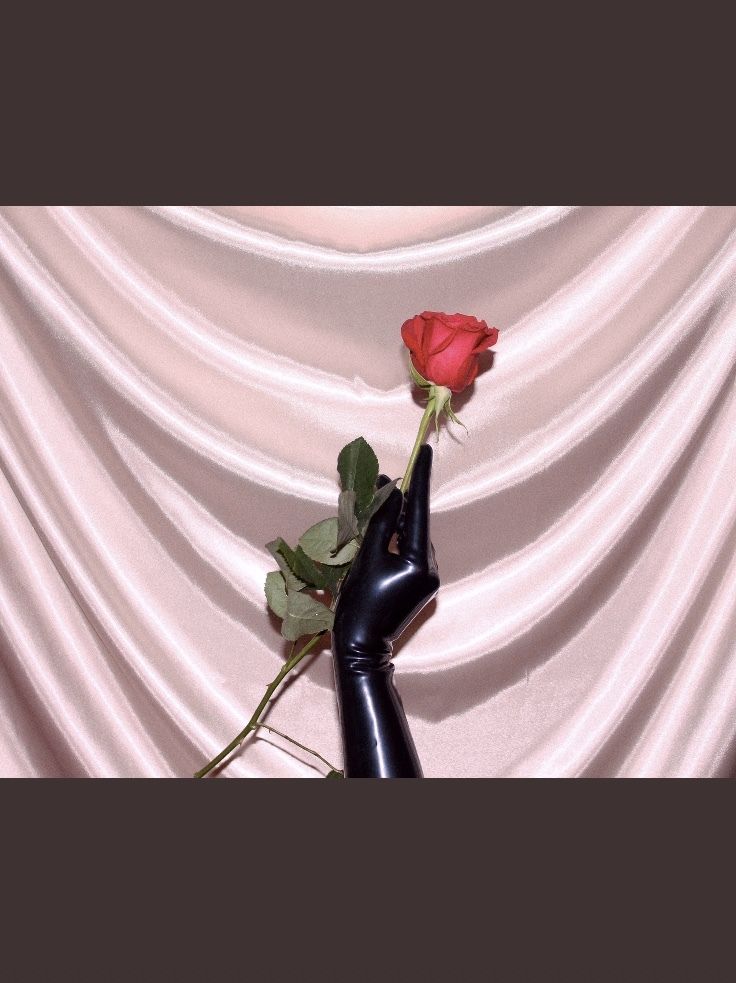 lunamialma OnlyFans profile picture
