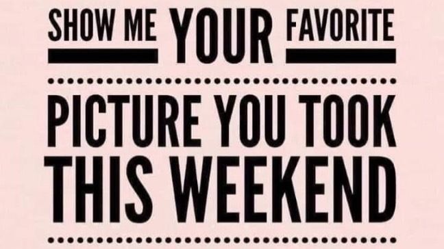 u269556454 OnlyFans profile picture