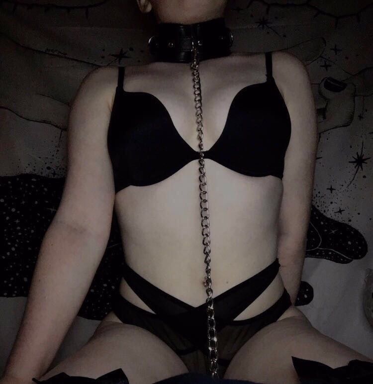 reese.bee88 OnlyFans profile picture