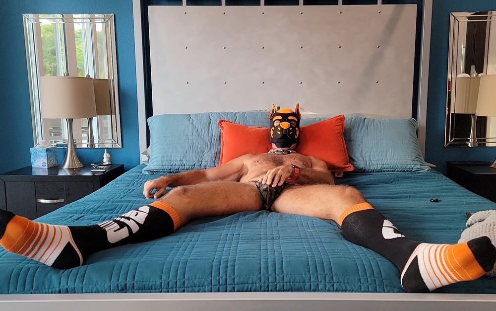 pupbuster OnlyFans profile picture