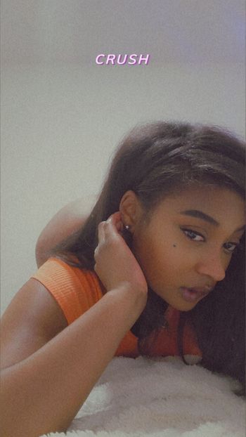 FoxyChocolate
