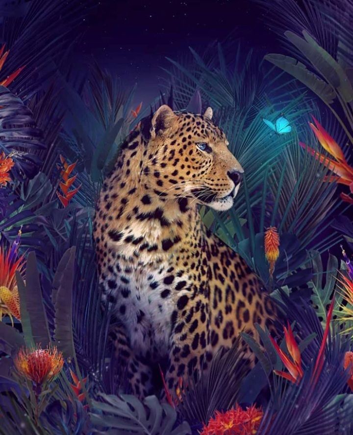 pretty.paws OnlyFans profile picture