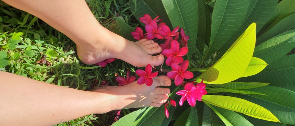 charlottesfeet009 OnlyFans profile picture