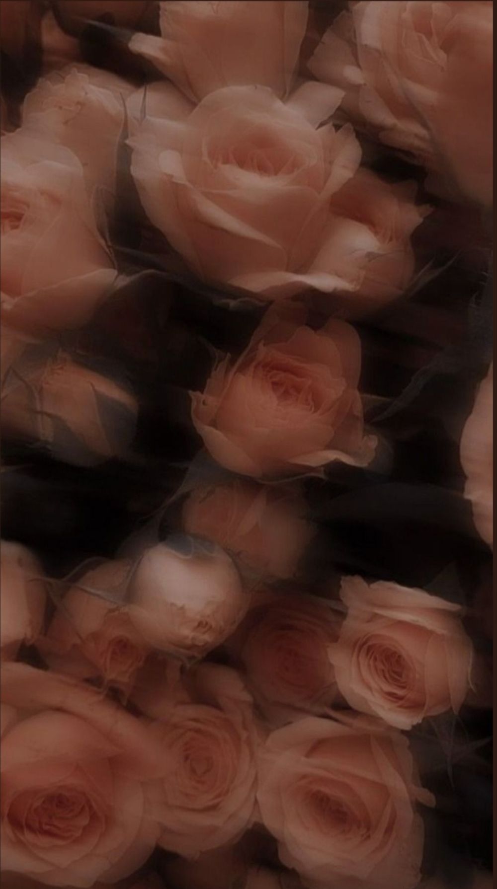 princxssaa OnlyFans profile picture