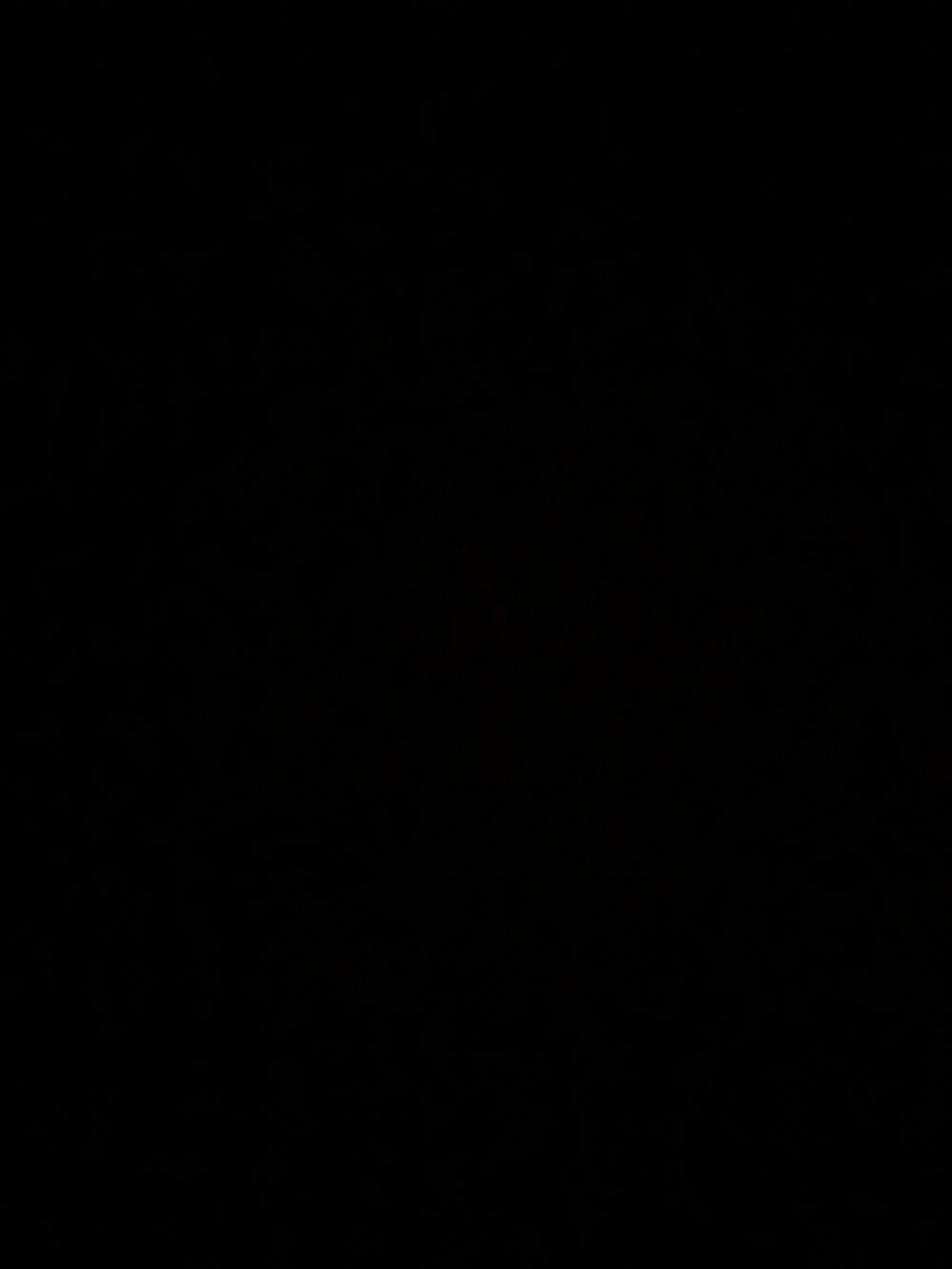 auuahausdh OnlyFans profile picture