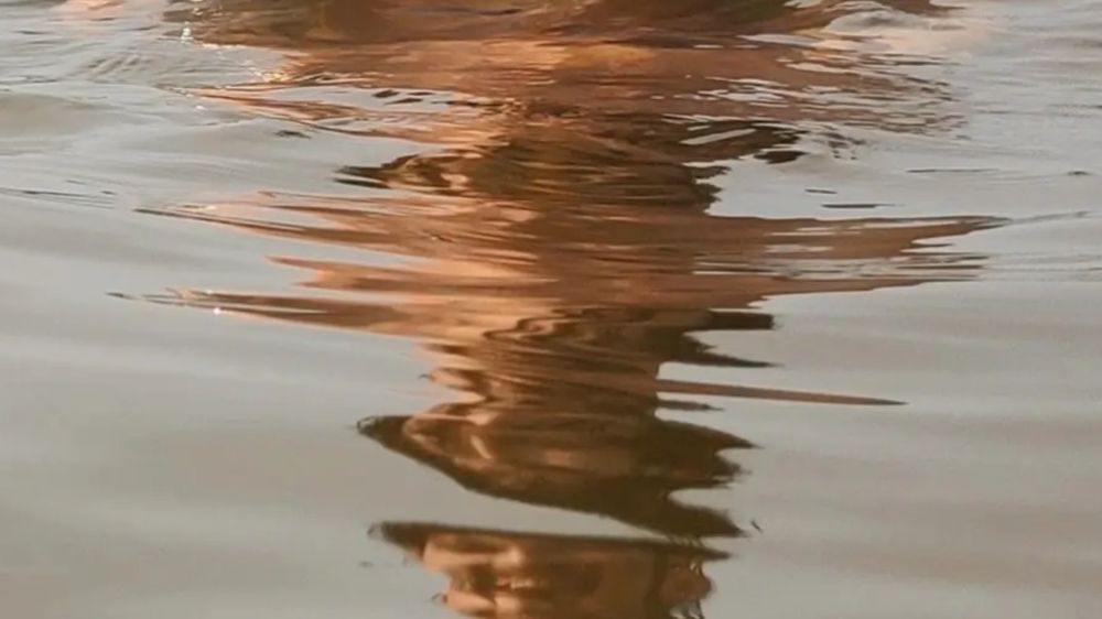 serrotegustavo OnlyFans profile picture