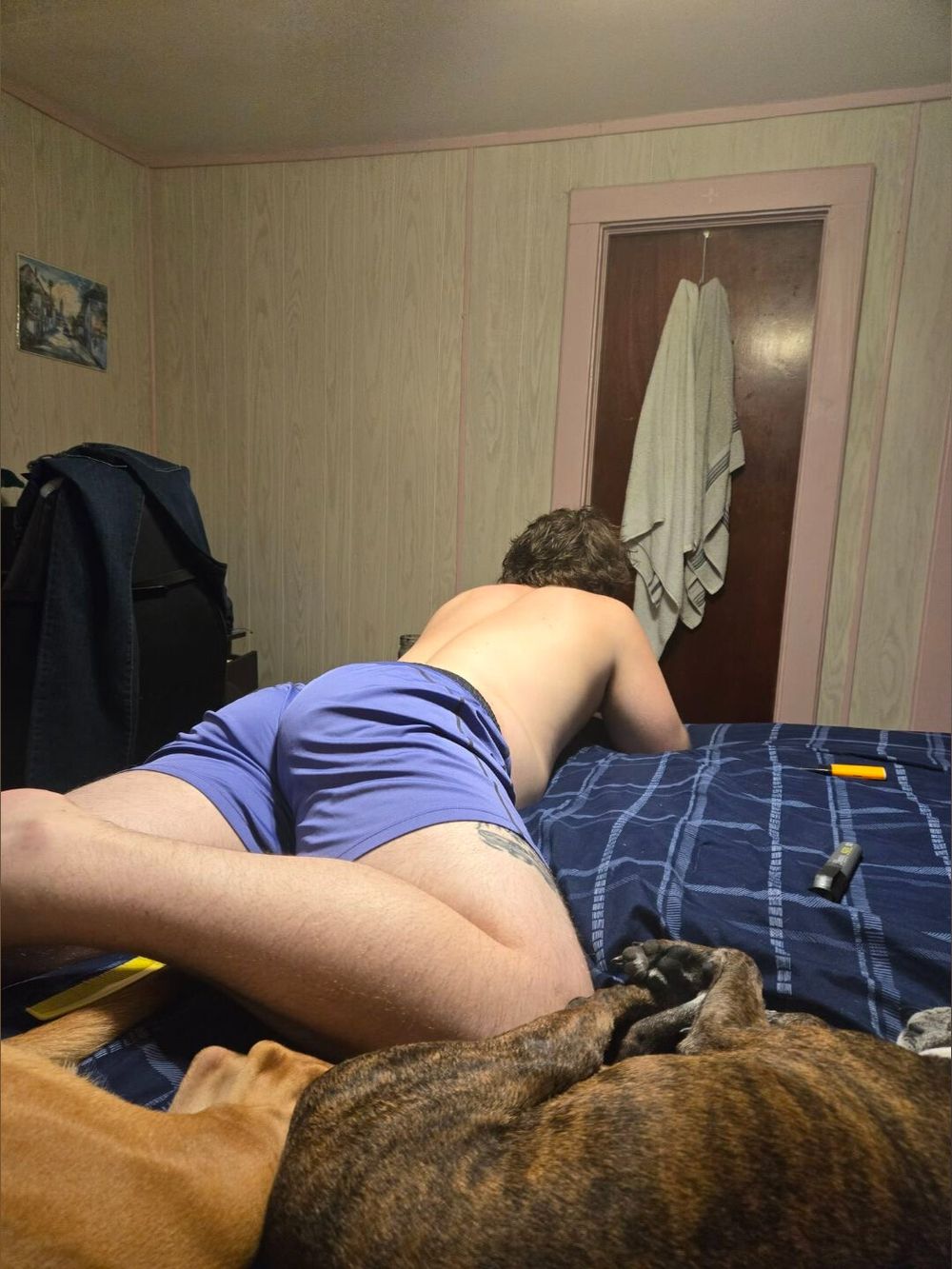 otterlyadorable98 OnlyFans profile picture