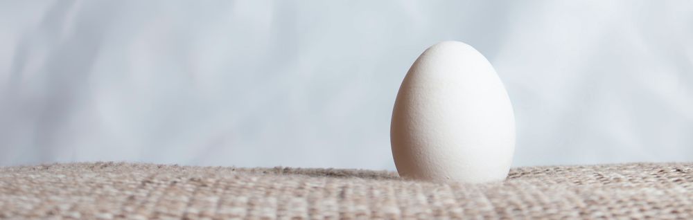an_egg OnlyFans profile picture