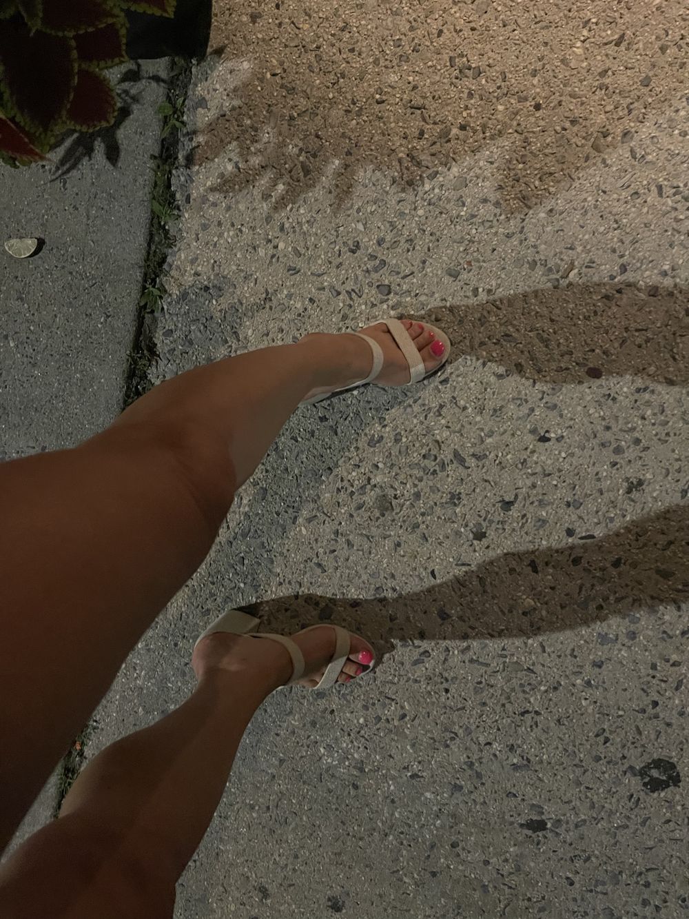 u100483888 OnlyFans profile picture