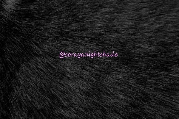 sorayanightshade OnlyFans profile picture