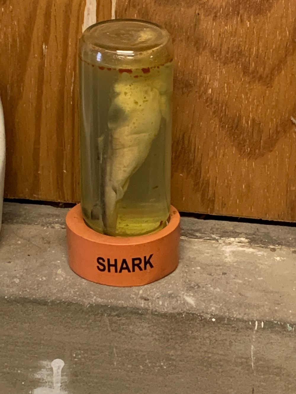 peepeeboii OnlyFans profile picture