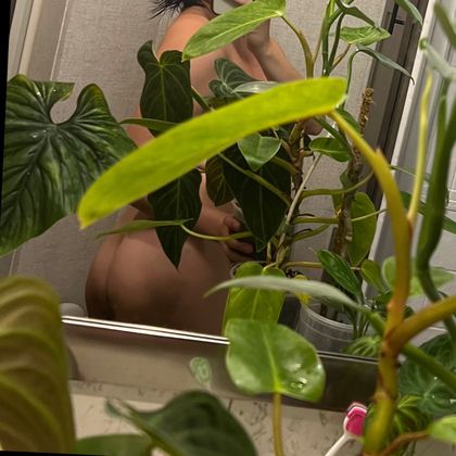 plantfeetpics OnlyFans picture