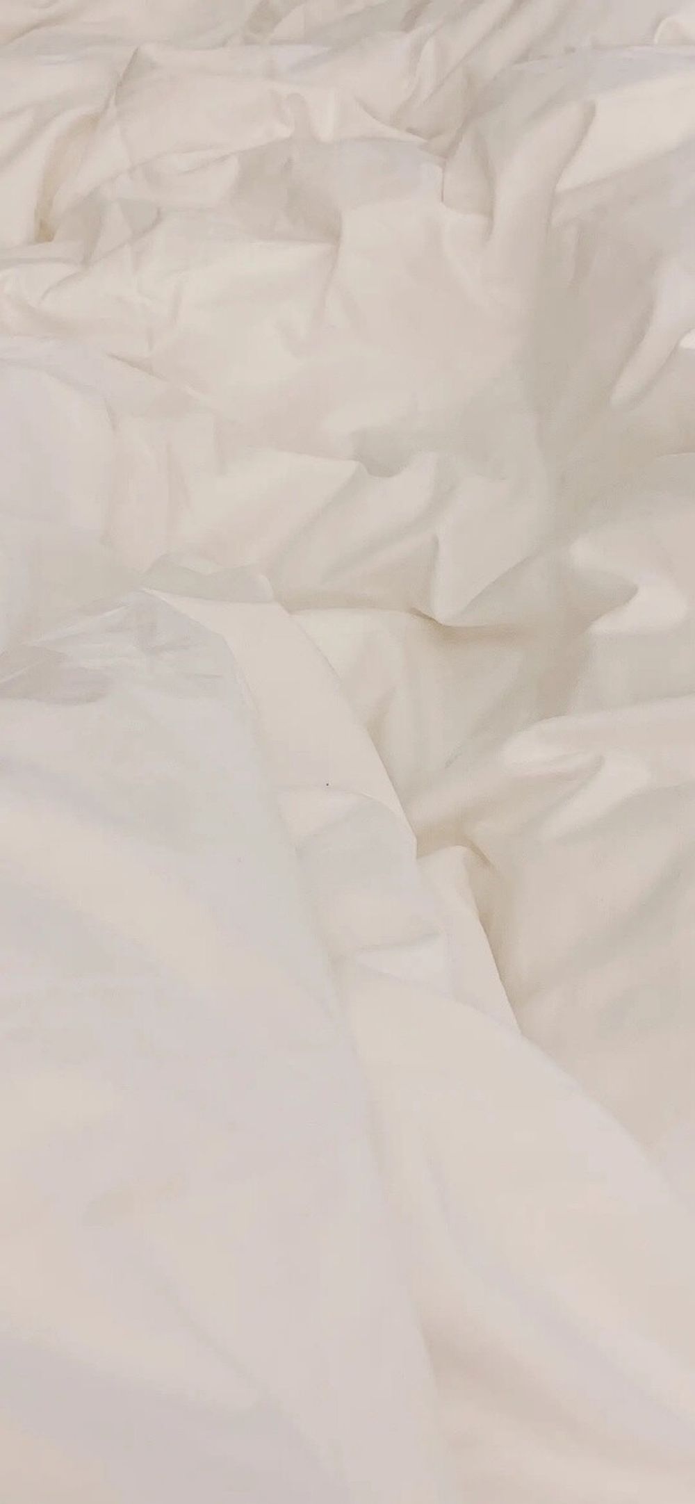 shaebudz OnlyFans profile picture