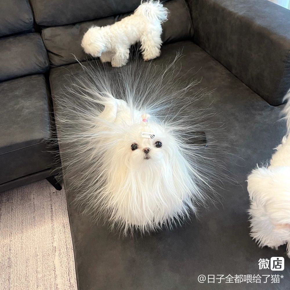 burntoutbunny OnlyFans profile picture