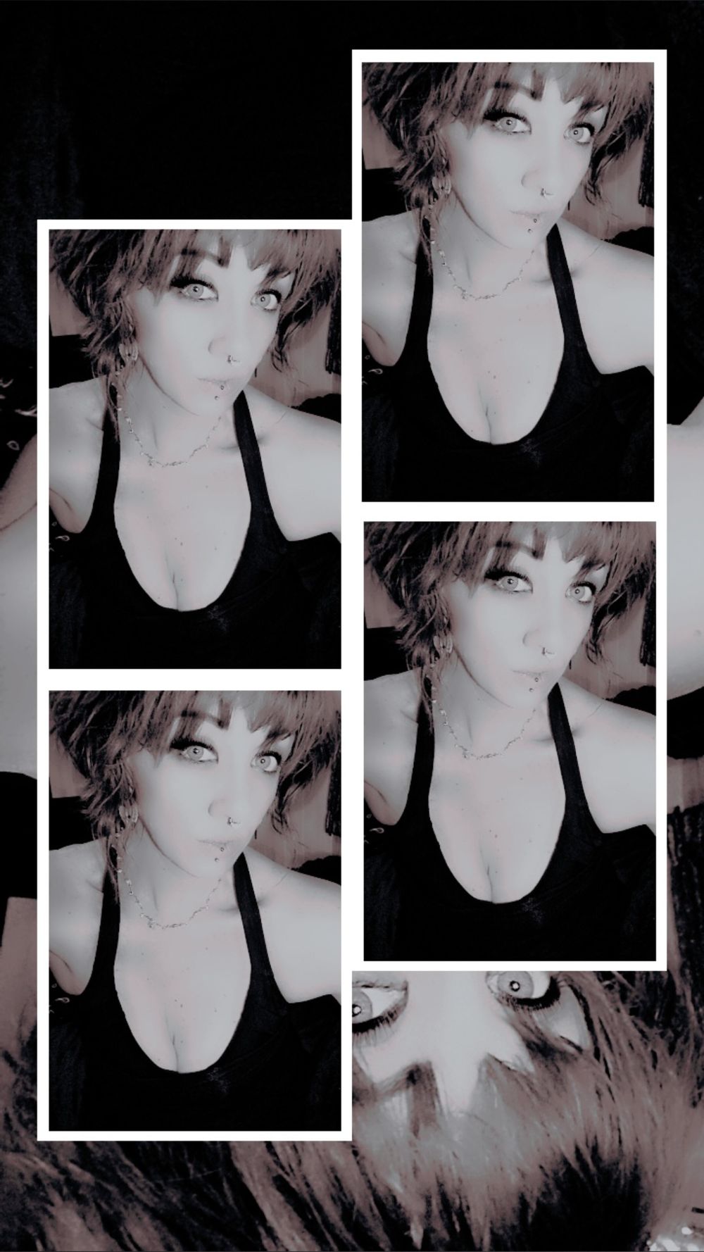 brookieashlyn OnlyFans profile picture